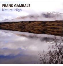 Frank Gambale - Natural High