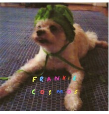 Frankie Cosmos - Zentropy