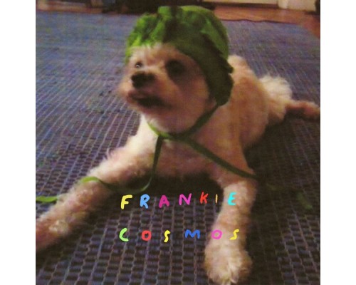 Frankie Cosmos - Zentropy