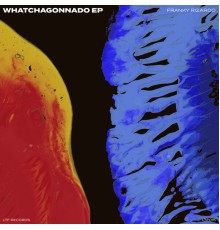 Franky Rizardo - Whatchagonnado EP