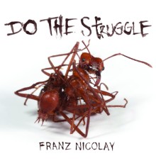 Franz Nicolay - Do The Struggle