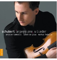 Franz Schubert - Arpeggione & Lieder