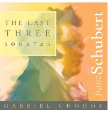 Franz Schubert - Les trois dernières sonates (Franz Schubert)