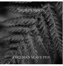 Freeman Slave Pen - Taurus Moon