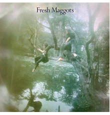 Fresh Maggots - Hatched