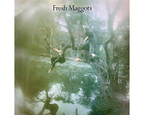 Fresh Maggots - Hatched Fresh Maggots - Hatched