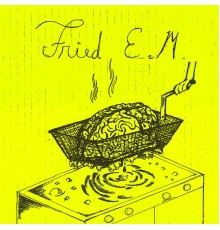 Fried E/M - Fried E/M