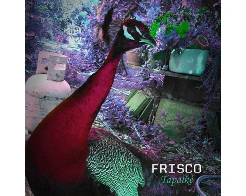 Frisco - Tapalké