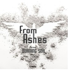 From Ashes - My Last Salvation