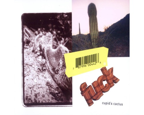 Fuck - Cupid's Cactus