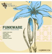 Funkware - Luxury Feelings