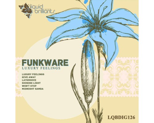 Funkware - Luxury Feelings