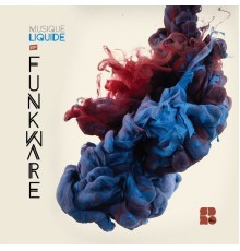 Funkware - Musique Liquide (Original Mix)