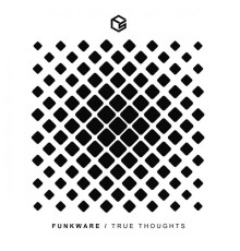 Funkware - True Thoughts (Original Mix)