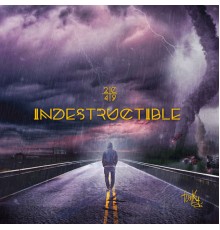 Funky - Indestructible