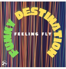 Funky Destination - Feeling Fly