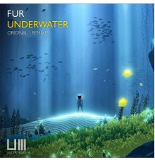 Fur DJ's - Underwater