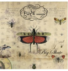 Fuse Ensemble - Big Skate