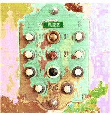 Fuzz - Session with the Monkey