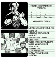 Fuzz - Welcome to the Pin