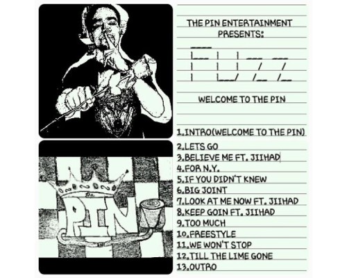 Fuzz - Welcome to the Pin