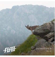 Fuzz - Synesthesia Vol.03