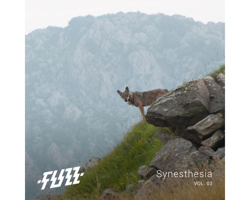 Fuzz - Synesthesia Vol.03