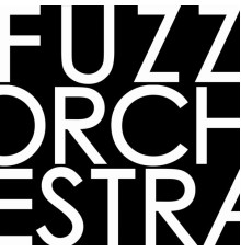 Fuzz Orchestra - Comunicato n°2