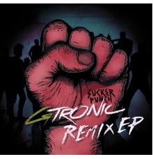 GTRONIC - Sucker Punch Remix EP