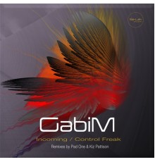 GabiM - Incoming / Control Freak