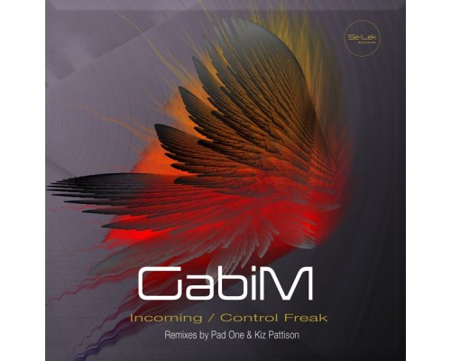 GabiM - Incoming / Control Freak