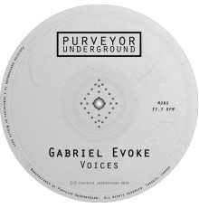 Gabriel Evoke - Voices