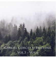 Gabriel Gorcea și Prietenii - Gabriel Gorcea și Prietenii, Vol. 5 - Vol. 6