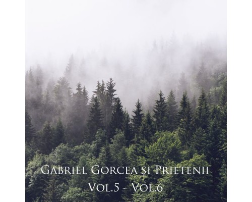 Gabriel Gorcea și Prietenii - Gabriel Gorcea și Prietenii, Vol. 5 - Vol. 6