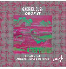 Gabriel Gush - Drop It