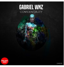 Gabriel Wnz - Confidentiality