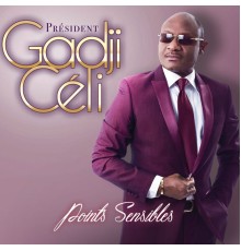 Gadji Celi - Points sensibles