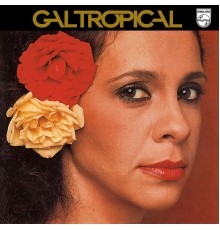 Gal Costa - Gal Tropical