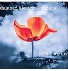 Galahad Electric Company - Soul Therapy