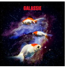 Galassie - Baleno