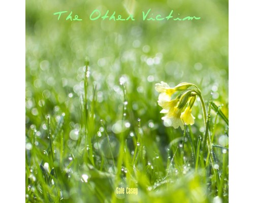 Gale Casey - The Other Victim