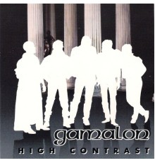 Gamalon - High Contrast