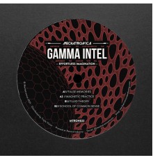 Gamma Intel - Effortless Imagination