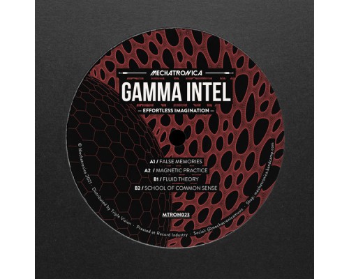 Gamma Intel - Effortless Imagination