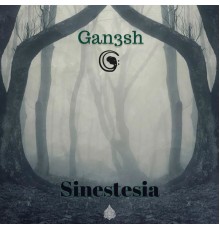 Gan3sh - Sinestesia