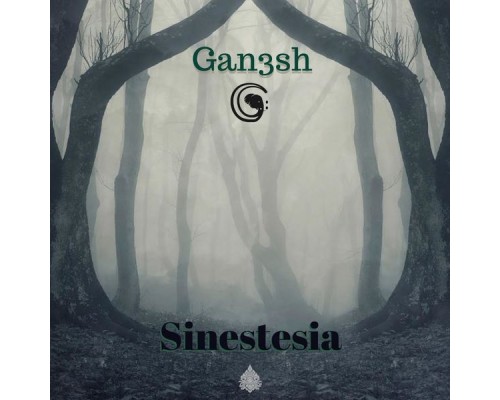 Gan3sh - Sinestesia