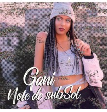 Gani - Note de subSol mixtape