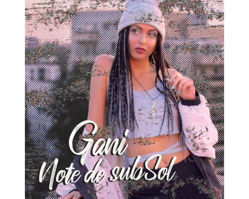 Gani - Note de subSol mixtape