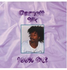 Garnett Silk - 100 Silk