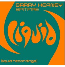 Garry Heaney - Spitfire